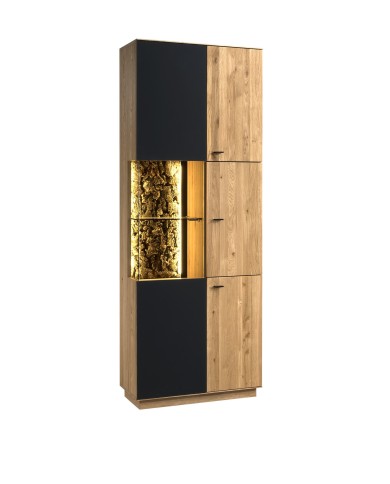 CORENA VITRINE MIT BELEUCHTUNG RECHTE - COR.031.L